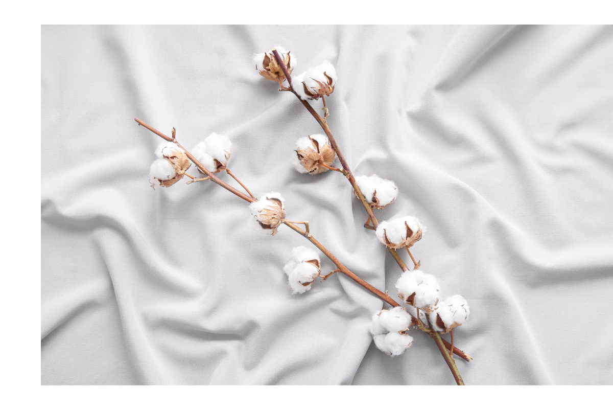 what are the differences between bed sheet fabrics?